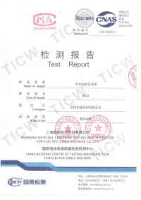 半导电特多龙带0.2